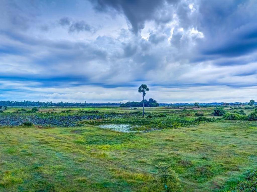Ry'S Lotus Resort D'Angkor Siem Reap Luaran gambar