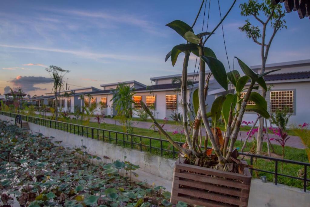 Ry'S Lotus Resort D'Angkor Siem Reap Luaran gambar