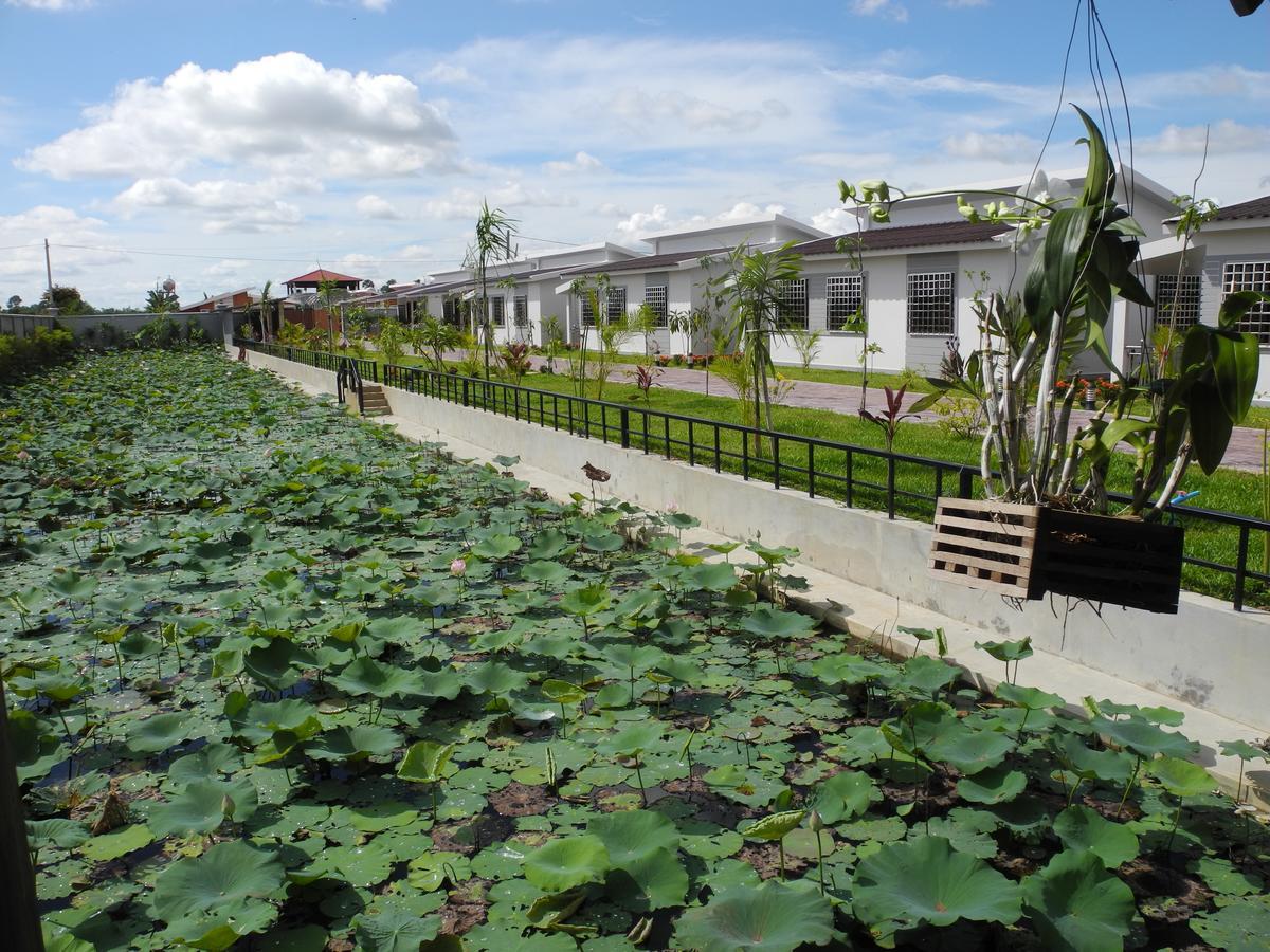 Ry'S Lotus Resort D'Angkor Siem Reap Luaran gambar